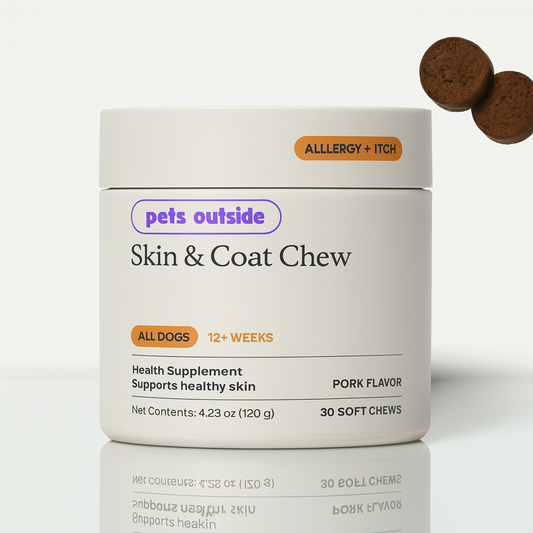 CoatCare+ Chew For Dogs