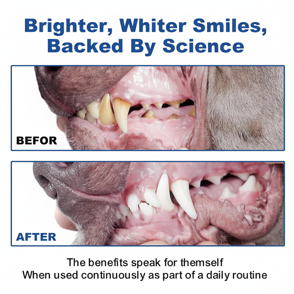 PureDent+ Dental Powder For Dogs