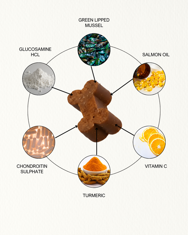 ProJoint+ Joint Supplement For Dogs