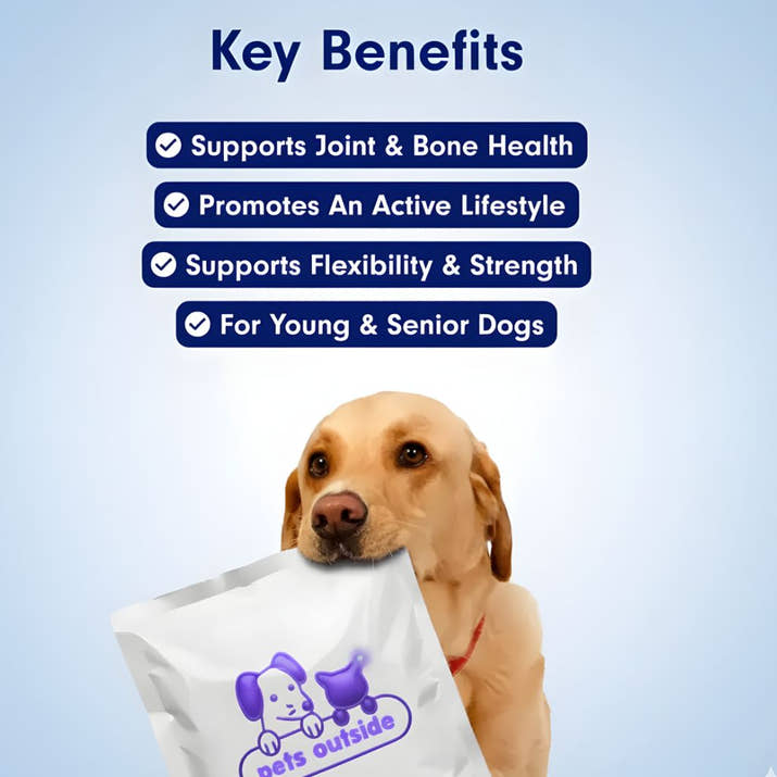 ProJoint+ Joint Supplement For Dogs