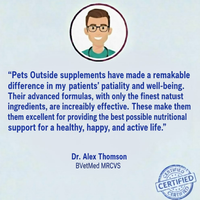 ProJoint+ Joint Supplement For Dogs