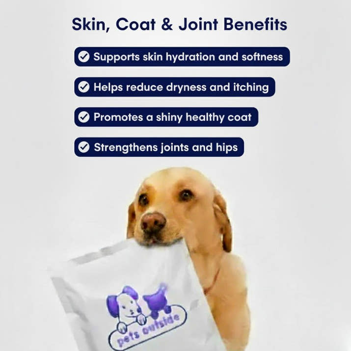 CoatCare+ Chew For Dogs