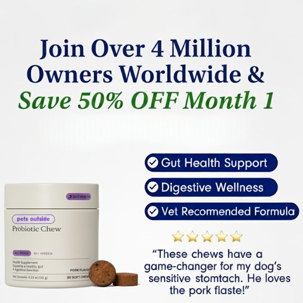 Promune+ Probiotic Chew For Dogs