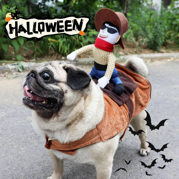 Cowboy Pet Costume