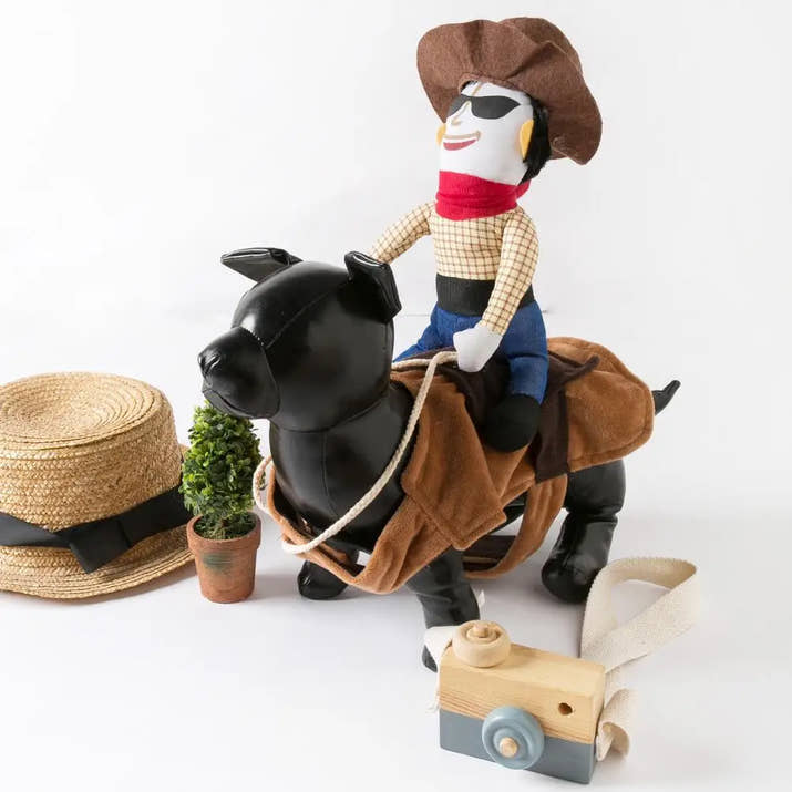 Cowboy Pet Costume