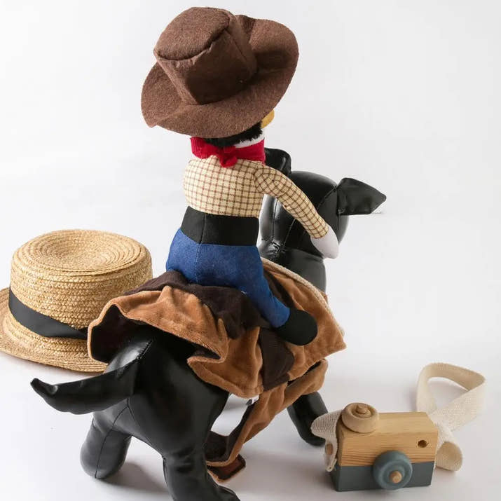 Cowboy Pet Costume