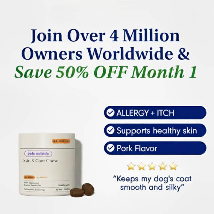 CoatCare+ Chew For Dogs