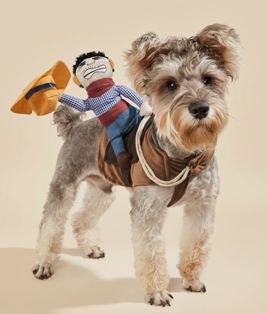 Cowboy Pet Costume