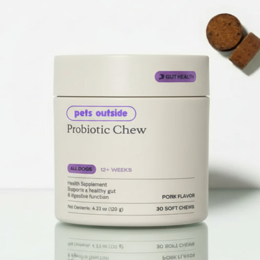 Promune+ Probiotic Chew For Dogs