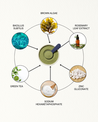 PureDent+ Dental Powder For Dogs