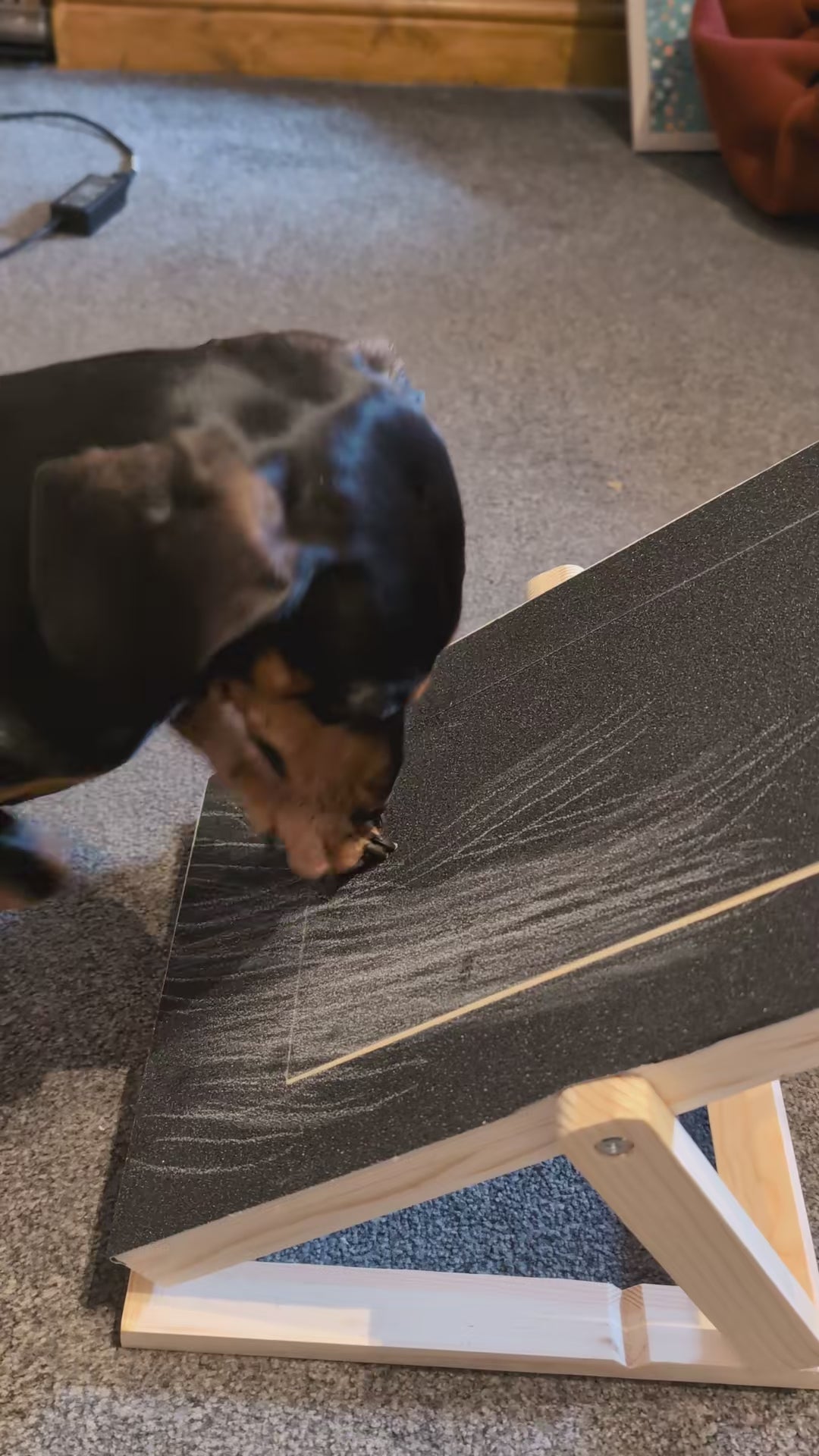Pawfect Trim Nail Care Board video