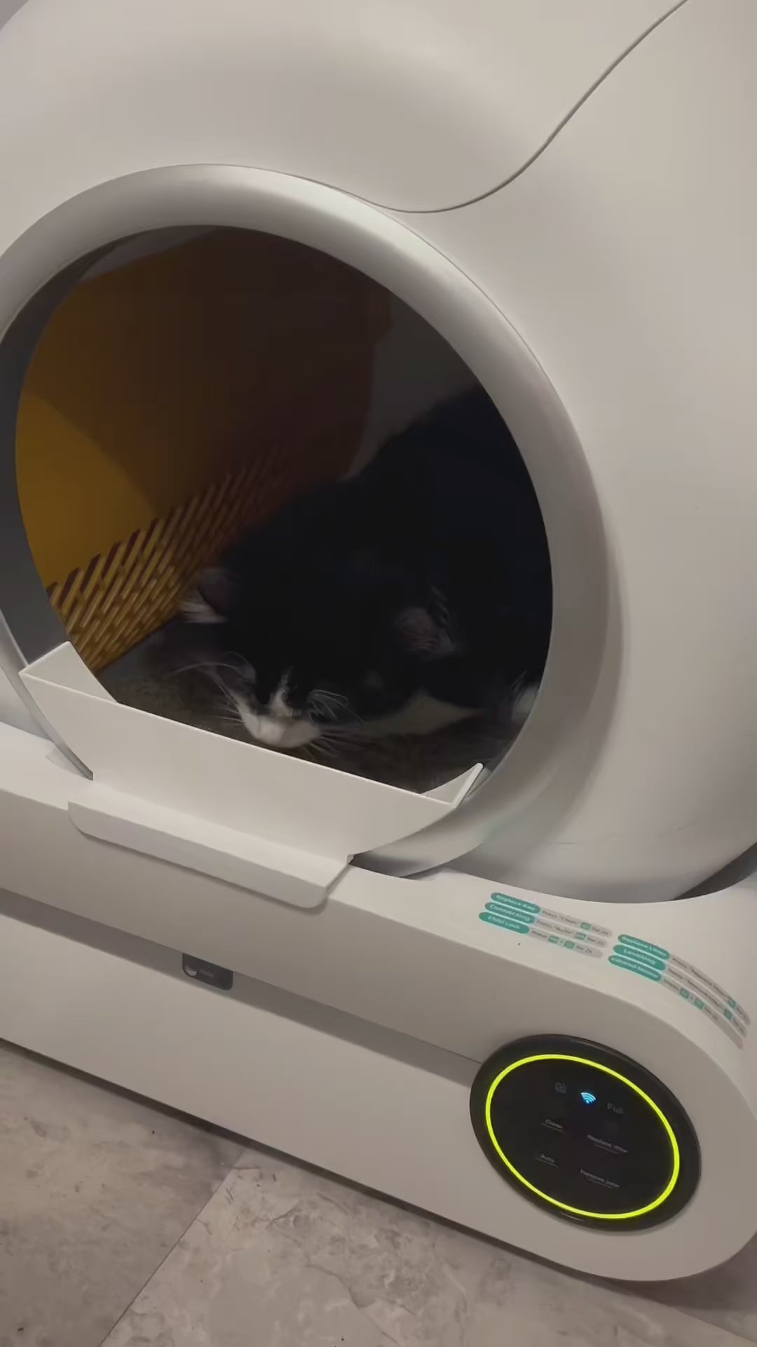 DOEL Smart Self-Cleaning Cat Litter Box™ video