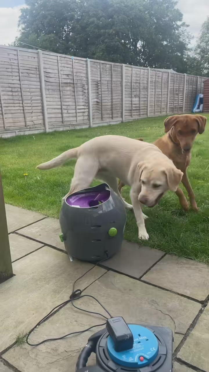 Eco-Friendly Tofu Cat Litter video