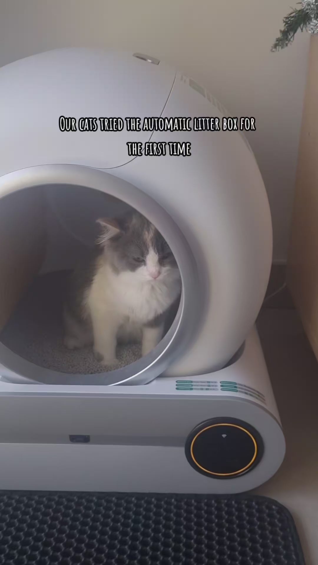 DOEL Smart Self-Cleaning Cat Litter Box™ video
