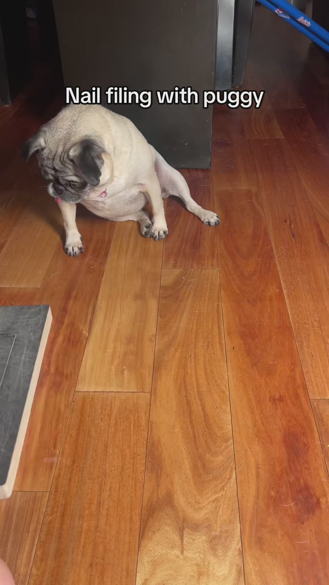 Pawfect Trim Nail Care Board video