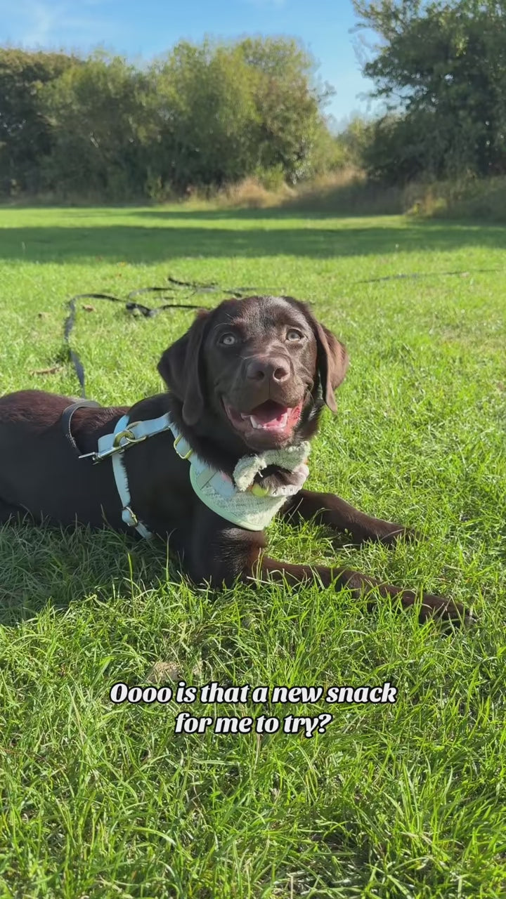 Natural Chicken Treats for Pets™ video