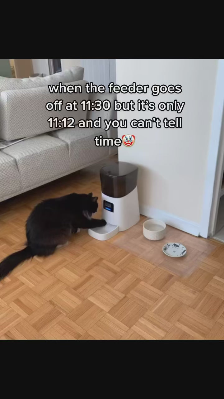 Smart Cat Feeder with Camera video
