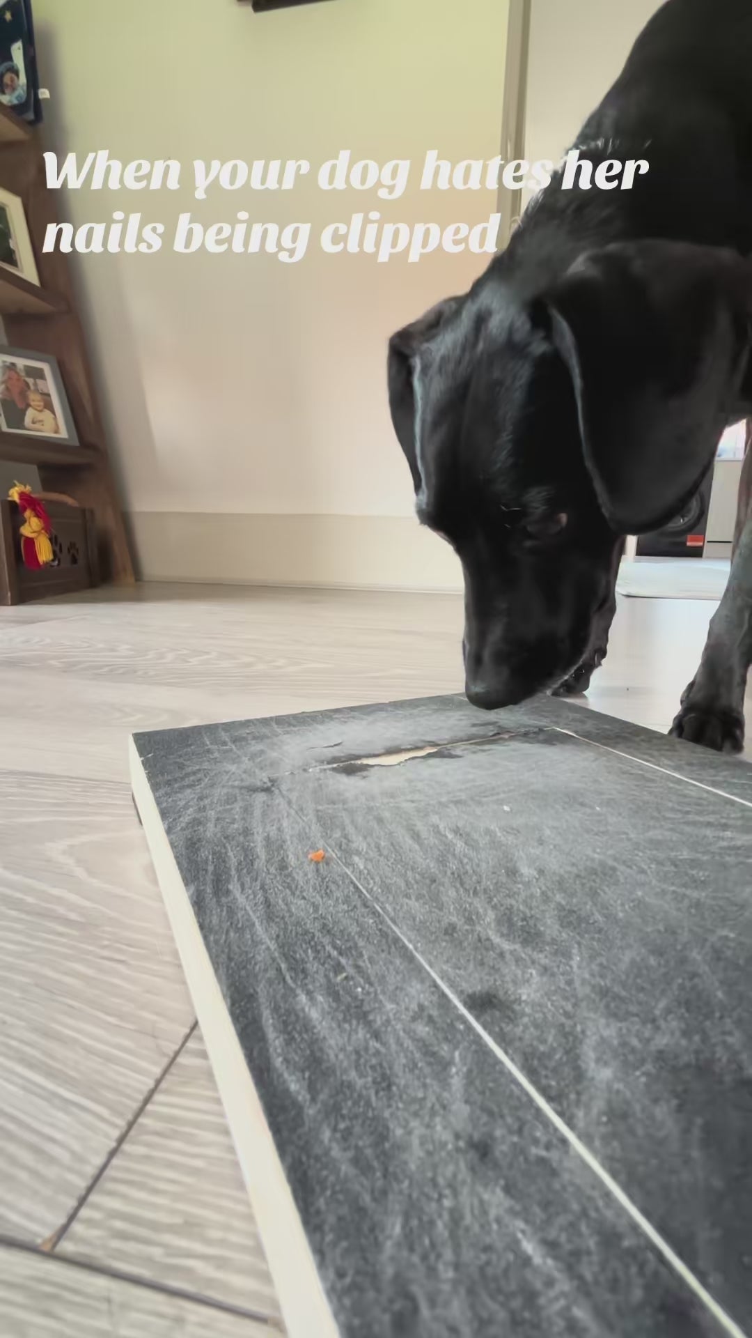 Pawfect Trim Nail Care Board video