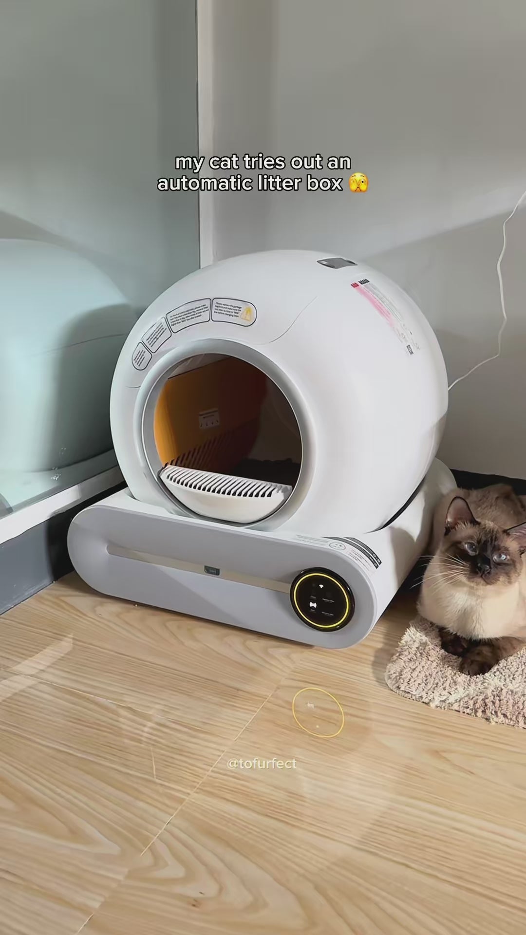 DOEL Smart Self-Cleaning Cat Litter Box™ video