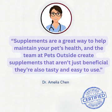 "Unlock Joyful Moments with Your Healthy Pet"