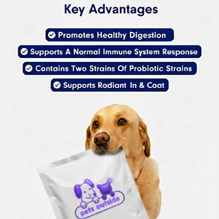 Promune+ Probiotic Chew For Dogs
