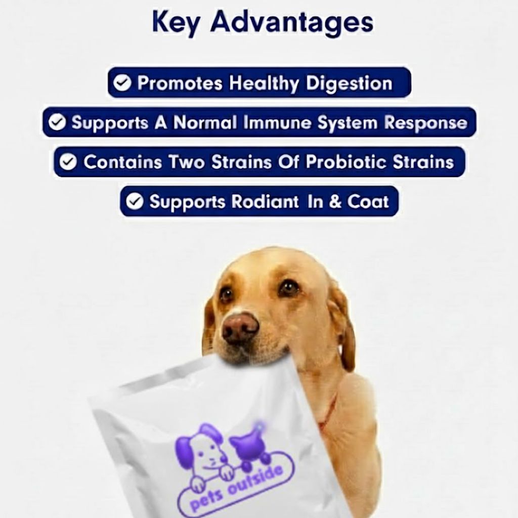 Promune+ Probiotic Chew For Dogs