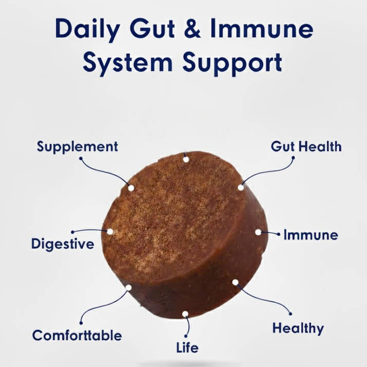 Promune+ Probiotic Chew For Dogs